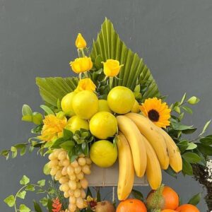 Creative Fruit Art Kit